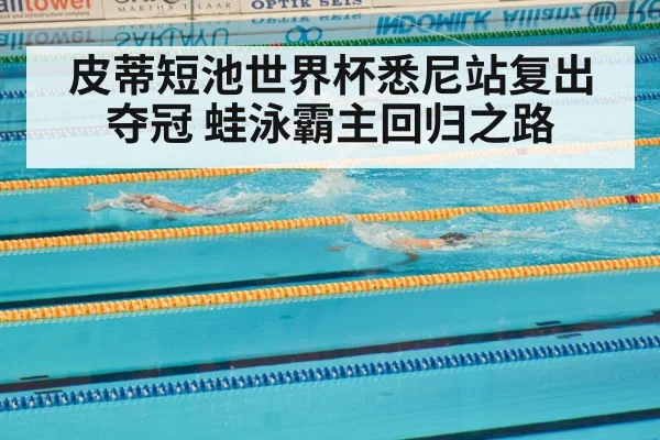 competitive swimming pool race