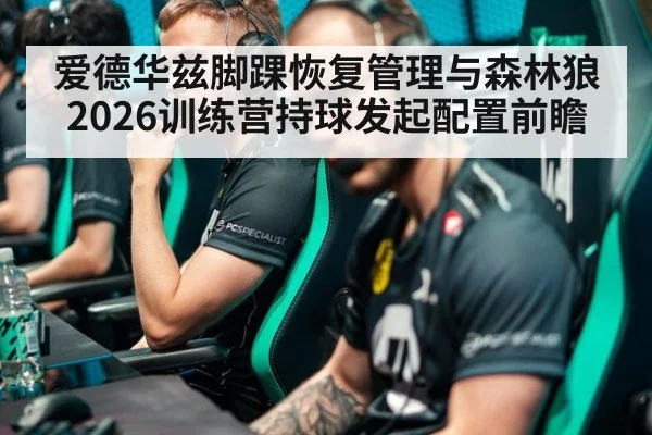 爱德华兹脚踝恢复管理与森林狼2026训练营持球发起配置前瞻